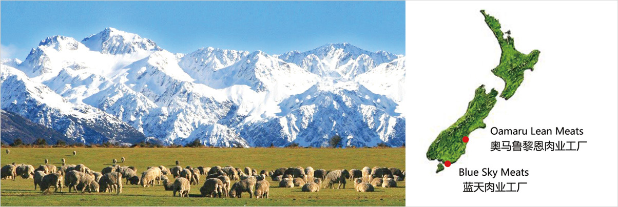 1742349405101460.jpg buu77.jpg